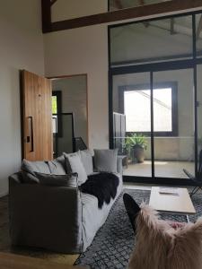a living room with a couch and a dog at THE WAREHOUSE APARTMENTS in Geelong