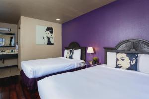 two beds in a hotel room with purple walls at Alura Inn in San Jose