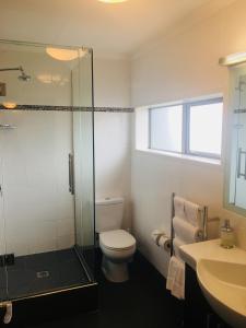 a bathroom with a toilet and a shower and a sink at Abaco on Jervois in Auckland