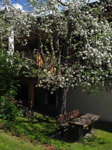 Zahrada ubytování Obergarberhof
