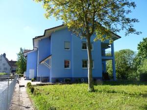 a blue building with a tree in front of it at Hotel Mühleinsel in Kenzingen