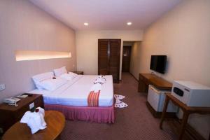 Televisyen dan/atau pusat hiburan di Panorama Hotel