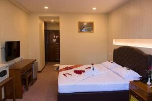 a hotel room with a bed and a television at Panorama Hotel in Yangon