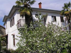 uma casa branca com uma palmeira em frente em Apartments Villa Ida em Opatija