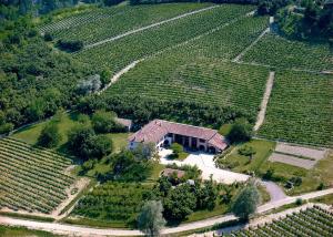 an aerial view of a house in the middle of a vineyard at La Giribaldina Winery & Farmhouse in Calamandrana