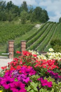 a garden with flowers in front of a vineyard at La Giribaldina Winery & Farmhouse in Calamandrana