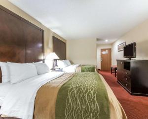 Gallery image of Quality Inn & Suites in Rosemount