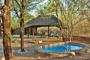 a hut with a pool in the middle of a yard at Jackalberry Ridge by Dream Resorts in Marloth Park