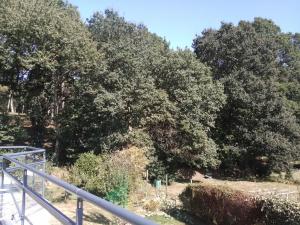 BrechにあるHAVRE DE PAIX à BREC'Hの階段のある公園内の木々
