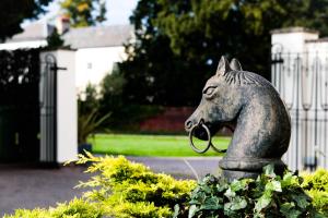 Animals at the bed & breakfast or nearby 