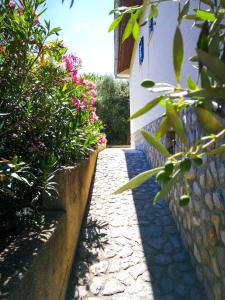 a garden path with flowers and a wall at Ecohouse Oliveglia in Šilo