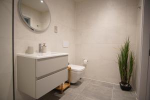 ein Badezimmer mit einem Waschbecken, einem WC und einem Spiegel in der Unterkunft Saltwater Newquay in Newquay