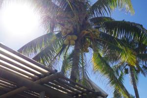 Φωτογραφία από το άλμπουμ του Silver Beach Hotel σε Trou dʼ Eau Douce