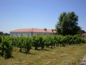 a field of vines with a building in the background at Casa do Linhar - Quintas de Sirlyn in Tondela