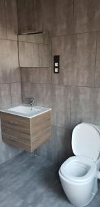 a bathroom with a toilet and a sink at Appartement Studio Tournai in Tournai