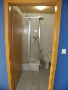a bathroom with a shower and a toilet at Hotel Restaurant Walliser Sonne in Reckingen - Gluringen
