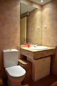 ラメトリャ・デ・マールにあるMSJ29 Confortable Bajo Marina Sant Jordiのバスルーム(トイレ、洗面台、鏡付)