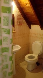 y baño con aseo y lavamanos. en Hosteria Wikter en San Carlos de Bariloche