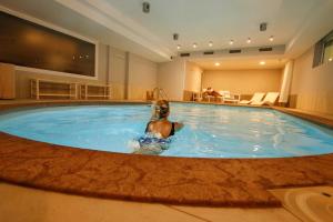 a dog swimming in a swimming pool at Style Hotel Grifone in Madonna di Campiglio