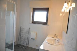 bagno con lavandino, finestra e doccia di Vue de Rome a Durbuy Altre 12 foto