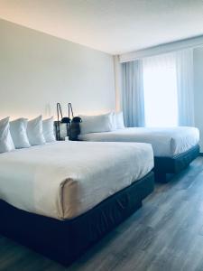 a hotel room with two beds and a window at Wyndham Garden Ft Lauderdale Airport & Cruise Port in Dania Beach