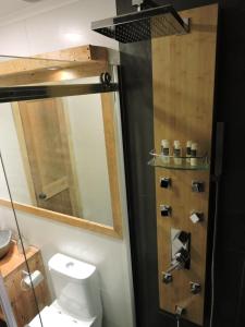 a bathroom with a toilet and a glass shower at EcoLofts Croacia 1028 in Punta Arenas