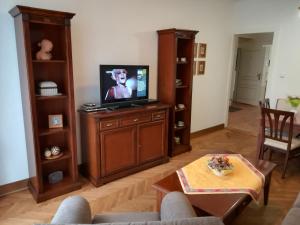 TV a/nebo společenská místnost v ubytování Halada house apartments