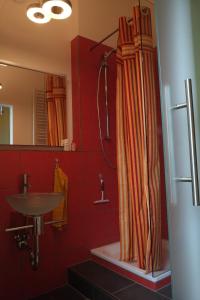 La salle de bains est pourvue d'un rideau de douche et d'un lavabo. dans l'établissement Studio in der alten Scheune, à Eschbach