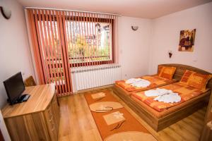 Schlafzimmer mit einem Bett, einem Schreibtisch und einem Fenster in der Unterkunft Vien Guest House in Bansko