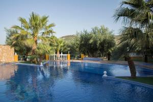 a large swimming pool with palm trees in a resort at Cortijo los Llanos in Luque