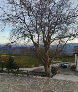 Afbeelding uit fotogalerij van guado cannavina in Capracotta