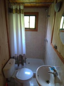 a bathroom with a white toilet and a sink at Cabanas Valdivia - Tres Espinos - camino a Niebla in Valdivia