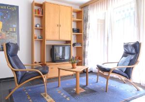 TV a/nebo společenská místnost v ubytování Apartment Brunnmatt