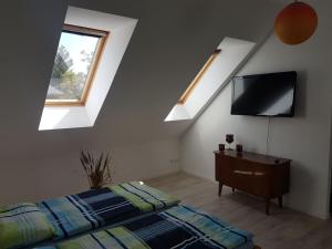 a bedroom with skylights and a bed and a tv at Remise Kairies in Wustrow