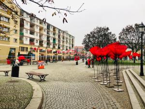 Hostia v ubytovaní Legnica Apartament 52m2 Delux 1