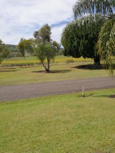 
a bird standing on top of a lush green field at Lakeside Lodge Motel in Lismore
