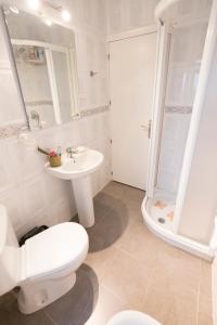 グラナダにあるApartamento Albaycin Granadaのバスルーム(トイレ、洗面台、シャワー付)