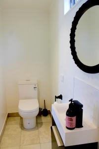a bathroom with a white toilet and a mirror at Piha Tiny House in Piha