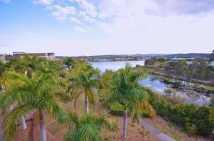 an aerial view of a river with palm trees at Chancellor Lakeside Apartments in Gold Coast