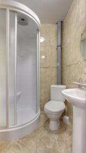 a bathroom with a shower and a toilet and a sink at RA Kuznechny 19 in Saint Petersburg