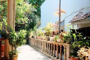 Imagen de la galería de The Palm Tree Guesthouse, en Phu Quoc
