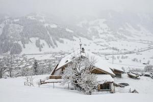 Rauriser Bergchalet v zimě