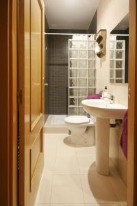 a bathroom with a sink and a toilet and a shower at El Mirador del Rioja, Zona Laurel in Logroño