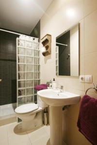 a bathroom with a sink and a toilet and a mirror at El Mirador del Rioja, Zona Laurel in Logroño