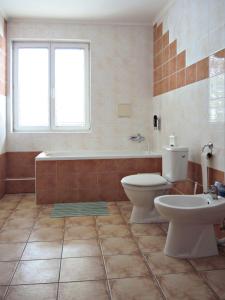 a bathroom with a toilet and a tub and a sink at Penzionlivia,Tr.teplice in Martinske Hole