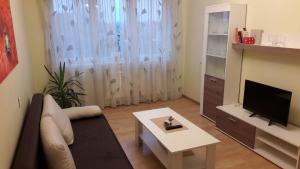 uma sala de estar com um sofá, uma televisão e uma mesa em Gražinos apartamentai em Panevėžys