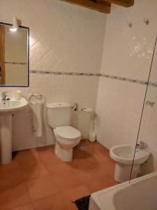 a bathroom with a toilet and a sink at Casa Rural Soportales de Peguerinos in Peguerinos