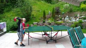 Stolný tenis v ubytovaní Haus Wildebene alebo v jeho okolí