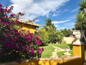 a garden in front of a house with pink flowers at Casa Entre Armonías in Zahara de los Atunes