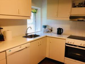 Kuchyň nebo kuchyňský kout v ubytování Aadal Apartment + 21 fotografií